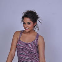 Asmita Sood New Photoshoot Pictures | Picture 72063